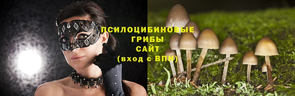 apvp Елизово