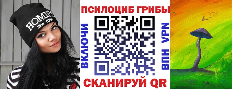 Купить где  Кандалакша  Галлюциногенные грибы Cubensis 