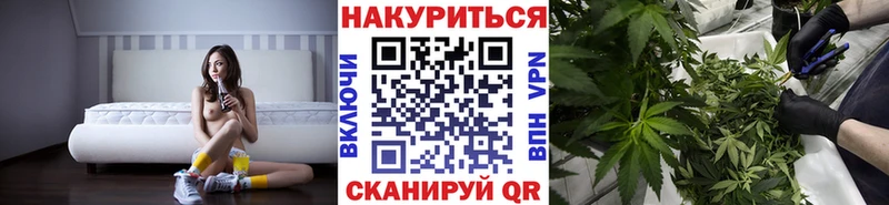 Каннабис SATIVA & INDICA  Купить где  Кандалакша 
